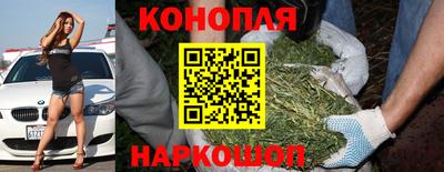 ГАЛЛЮЦИНОГЕННЫЕ ГРИБЫ Заволжье