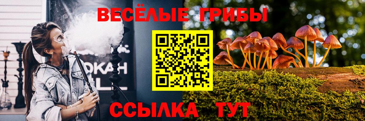 Псилоцибиновые грибы прущие грибы  купить закладку  Лесосибирск  Вход с VPN 