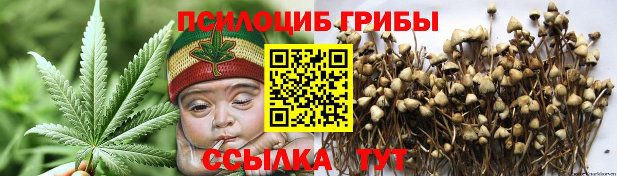 Псилоцибиновые грибы Magic Shrooms Лесосибирск